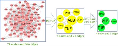 Detecting potential mechanism of vitamin D in treating rheumatoid arthritis based on network pharmacology and molecular docking